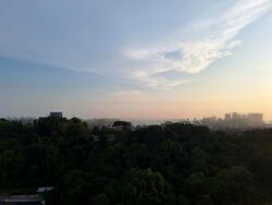 Normanton Park (D5), Apartment #460089971